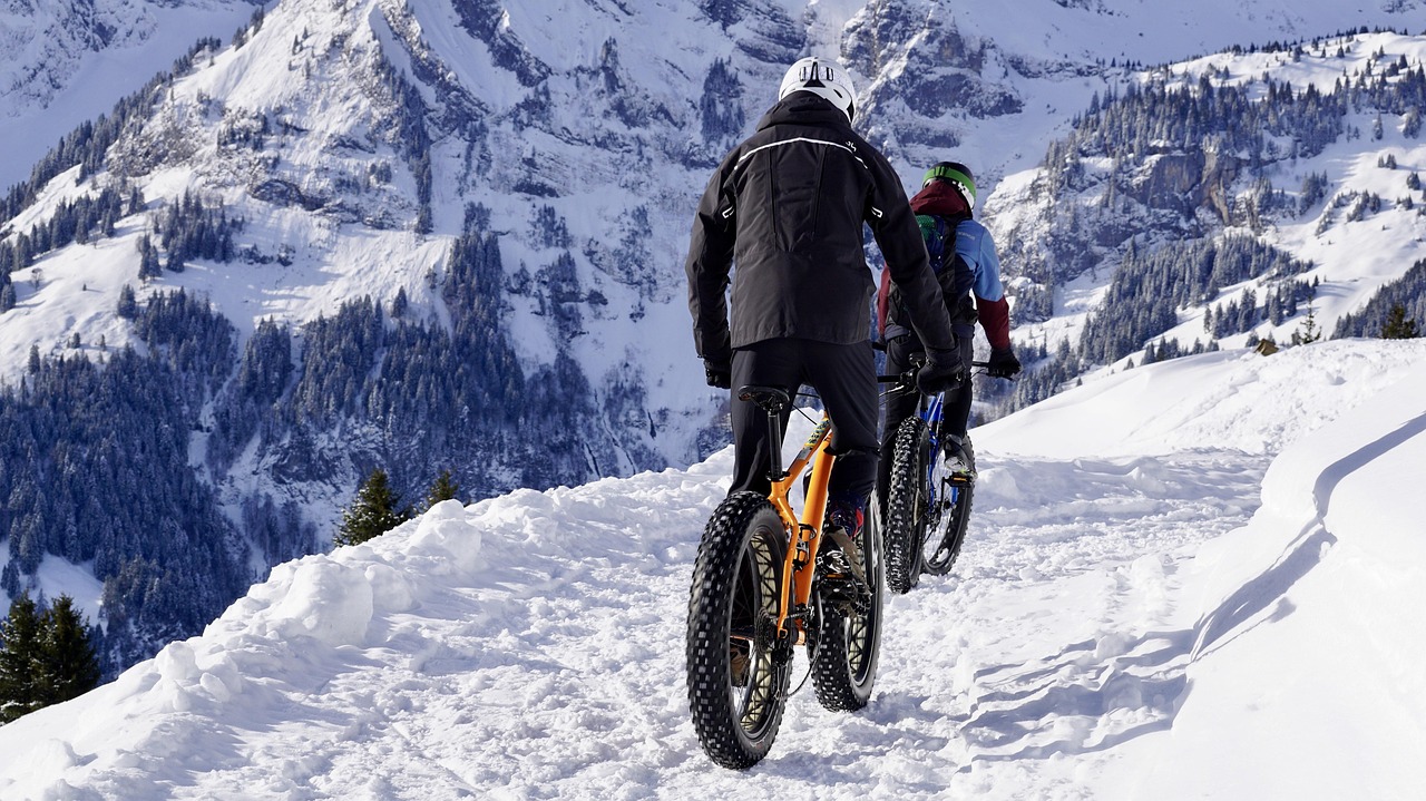 Comment créer un abri vélo adossé