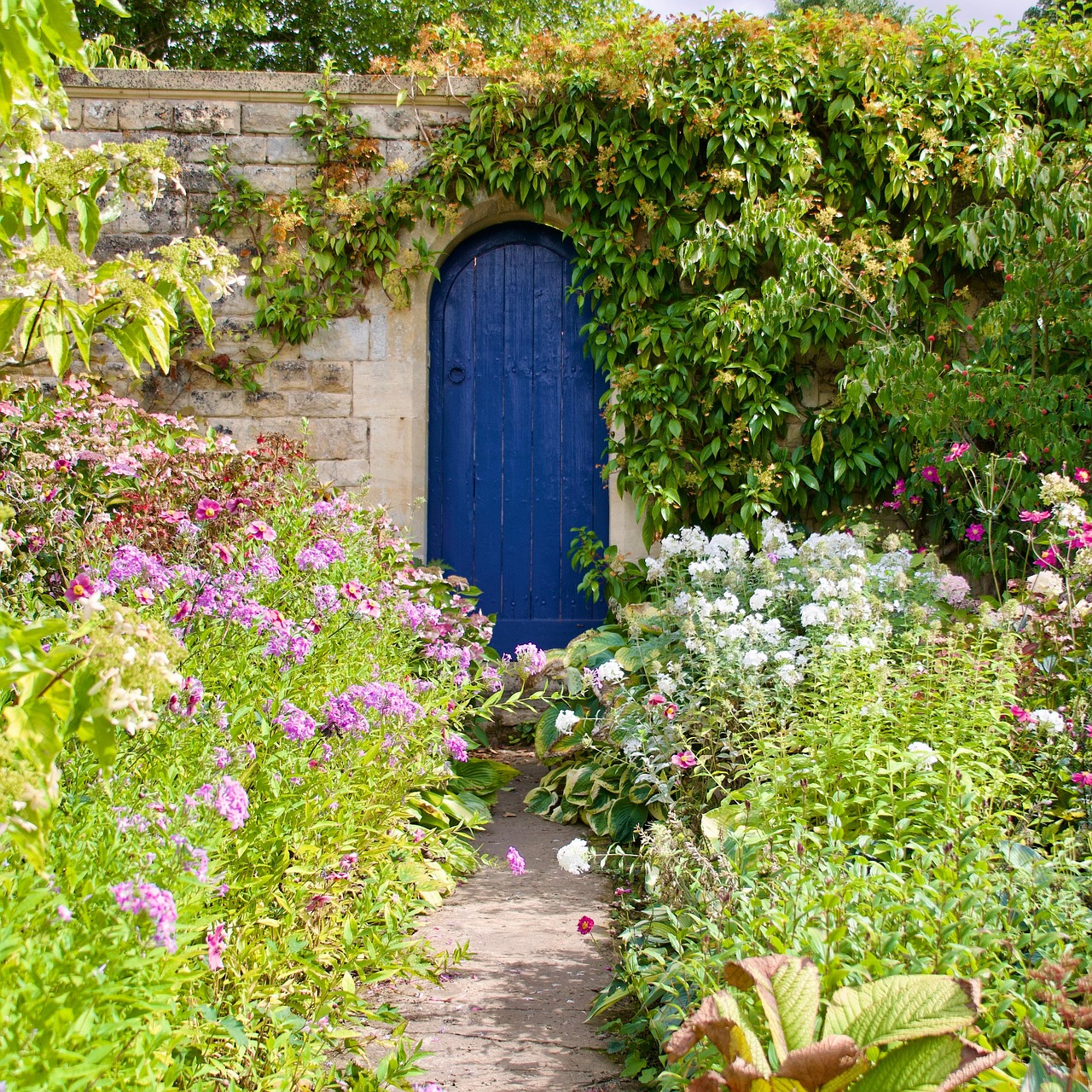 créer une allée de jardin : guide pratique et astuces pour réussir