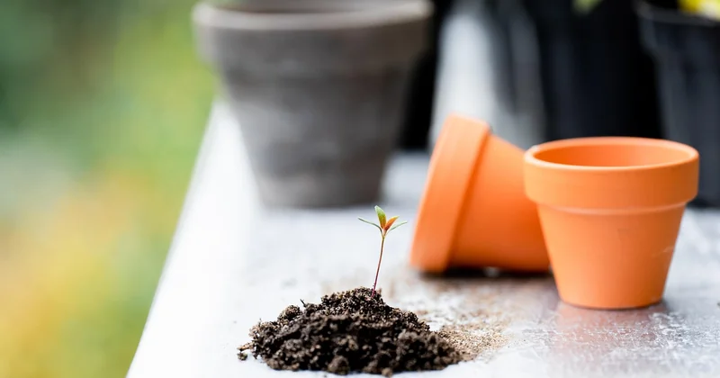 Jardin et travaux : deux mondes, deux cahiers des charges