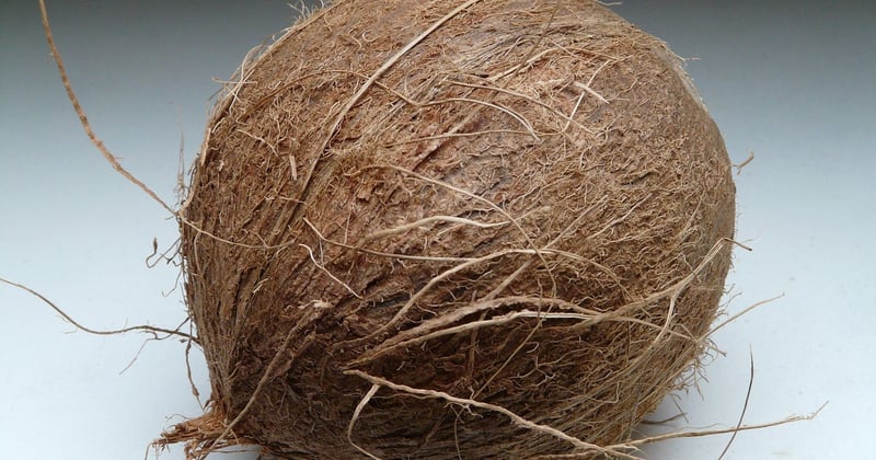 Toile en fibre de coco : les 7 usages incroyables que vous ignoriez