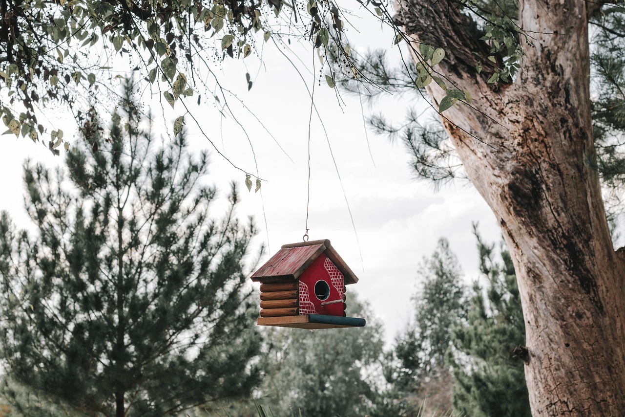 Installer un nichoir dans son jardin
