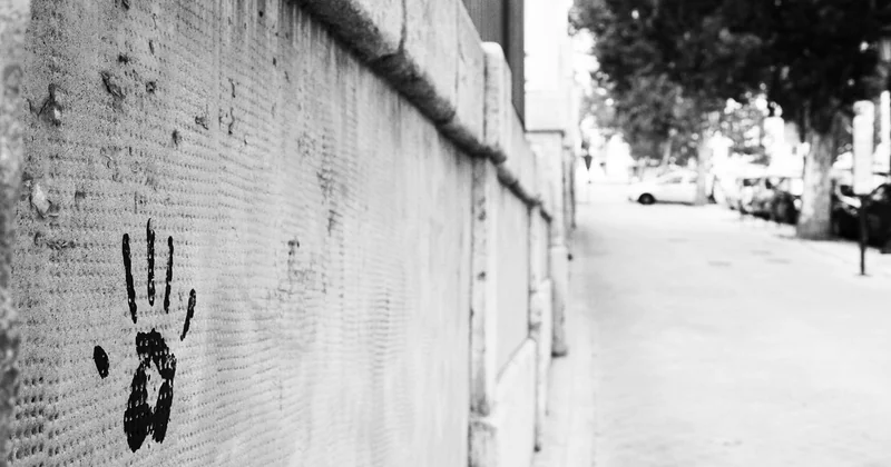 Béton désactivé vs béton imprimé : le match