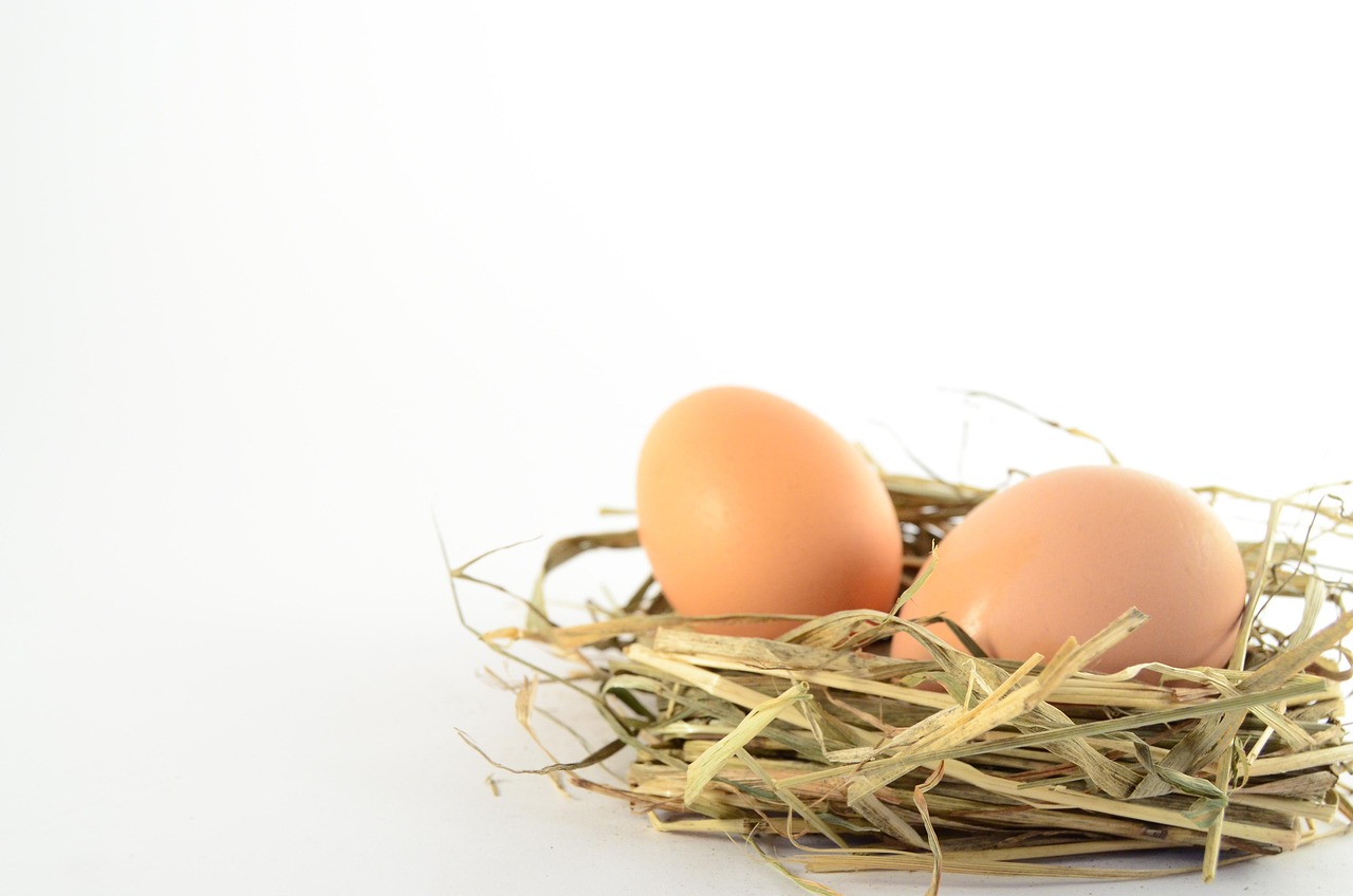 découvrez comment installer une prise étanche extérieure pour protéger vos équipements électriques des intempéries et assurer une utilisation sécurisée en extérieur.