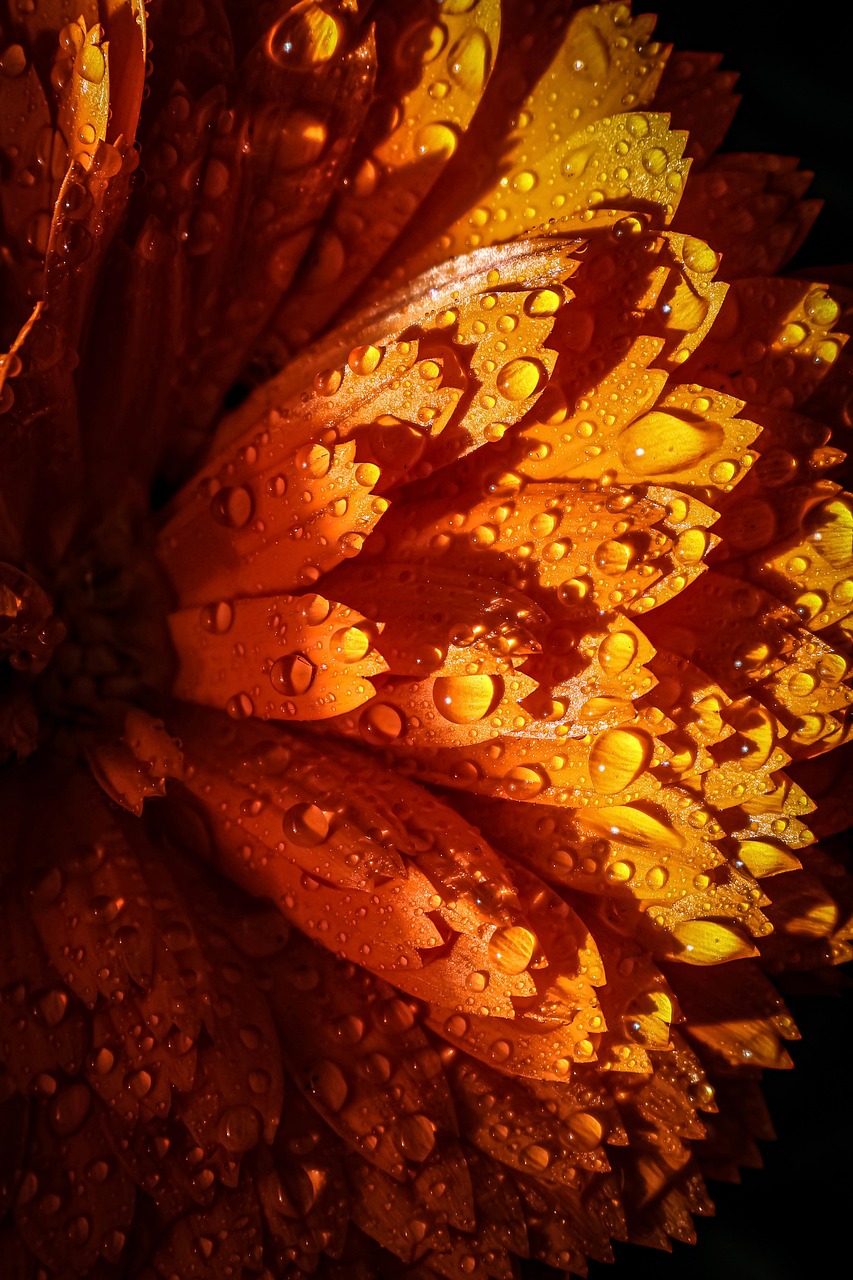 d&eacute;couvrez les meilleures techniques d'&eacute;limination de l'humidit&eacute; pour prot&eacute;ger vos mat&eacute;riaux et garantir leur durabilit&eacute;. solutions efficaces et conseils pratiques.