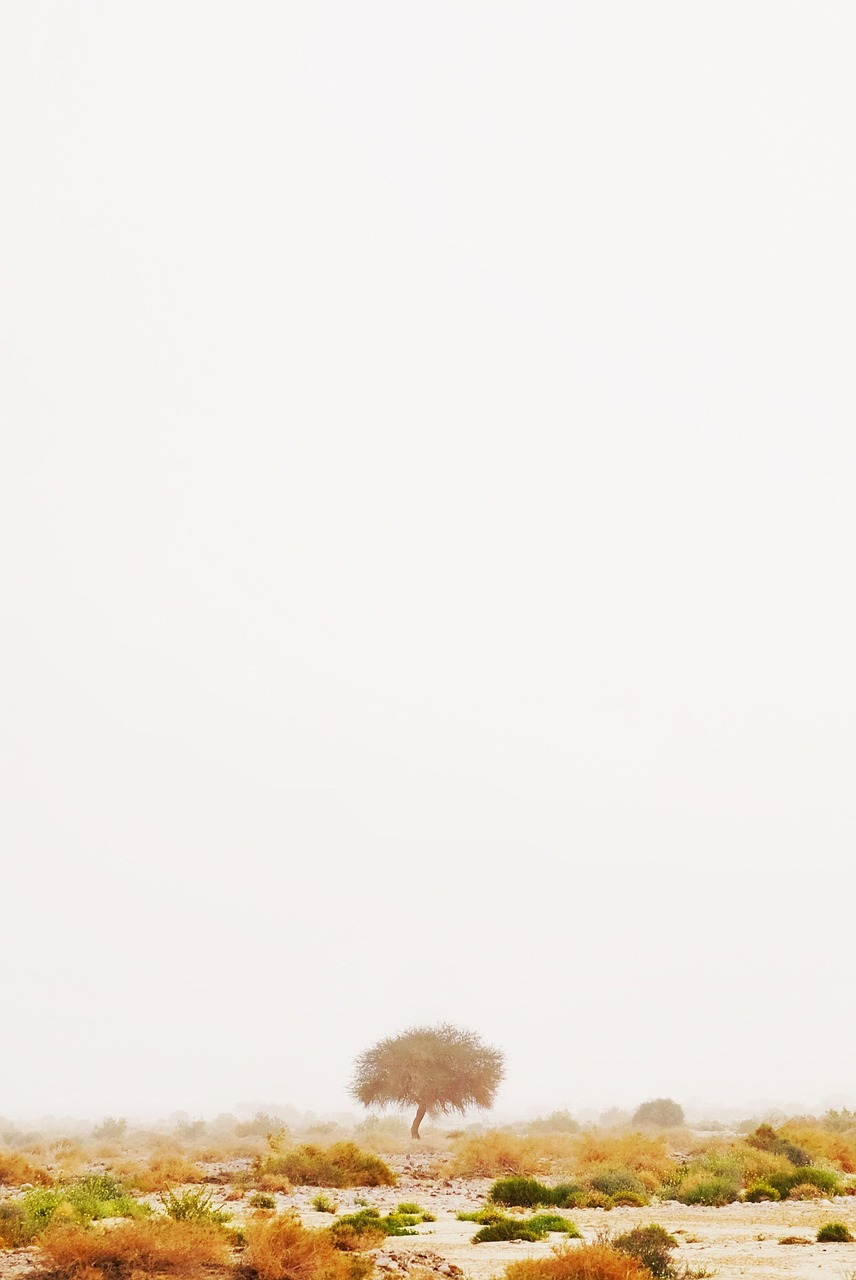 gf73886405807bc77b31d1f5dc7f17ae6ed3b05dbce82b2e83c9d05a860a15ebbe87797a430c7cc6e98667b21d37911e86e1392f7d161ad4d2497a8df6dbba5ae 1280